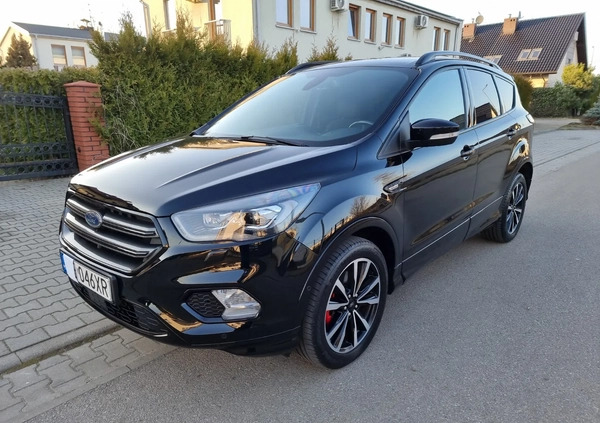 Ford Kuga cena 109899 przebieg: 70000, rok produkcji 2019 z Sosnowiec małe 596